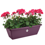 barcelona trough 50cm maple purple